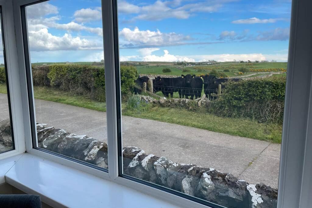 Galloway Farmstay Broughton Newton Stewart Esterno foto